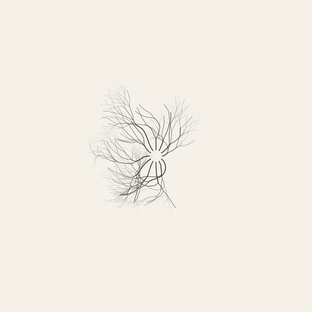Magnetic Dendrite — copper dendritic growth converging on a dark ground